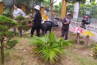 Một buổi lao động nhỏ, một ý nghĩa lớn