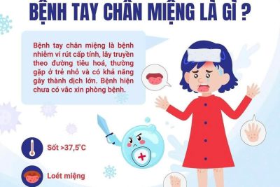 CHỦ ĐỘNG TĂNG CƯỜNG CÔNG TÁC PHÒNG, CHỐNG BỆNH TAY CHÂN MIỆNG